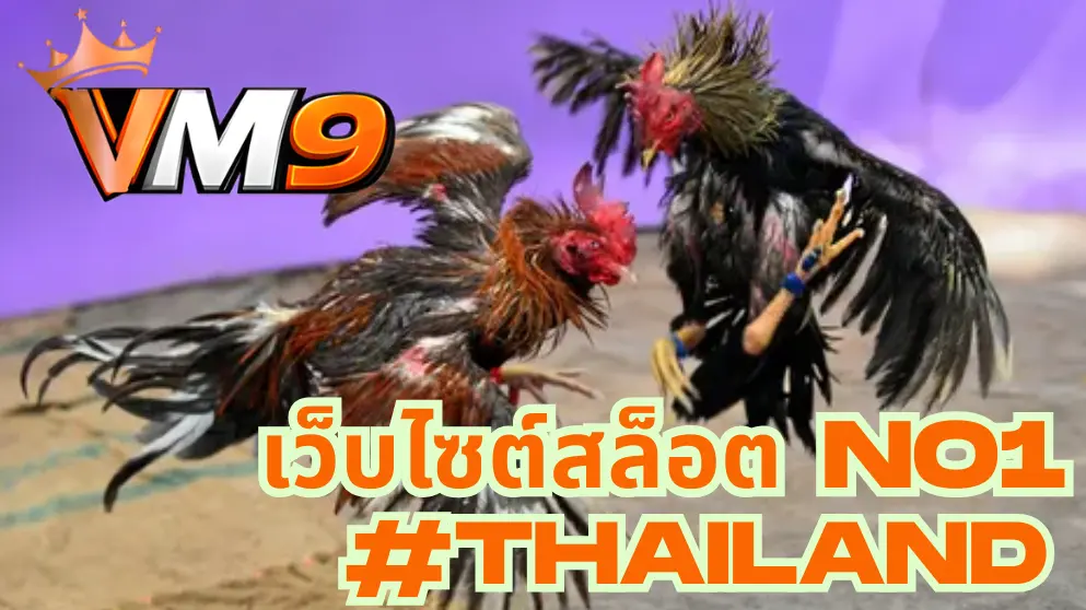 การชนไก่
