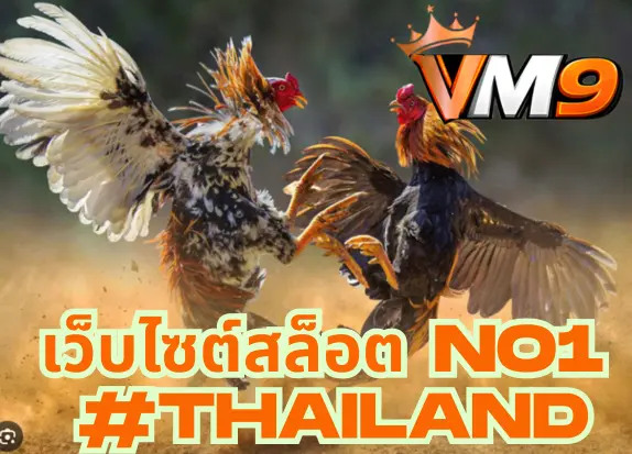 การชนไก่